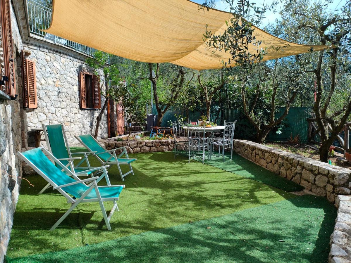 Cynara Holiday House 마사루브렌세 외부 사진