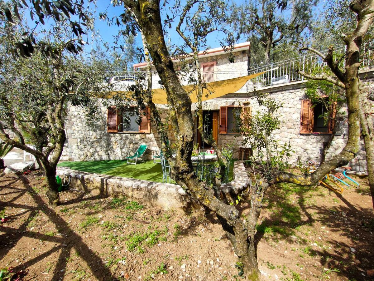 Cynara Holiday House 마사루브렌세 외부 사진