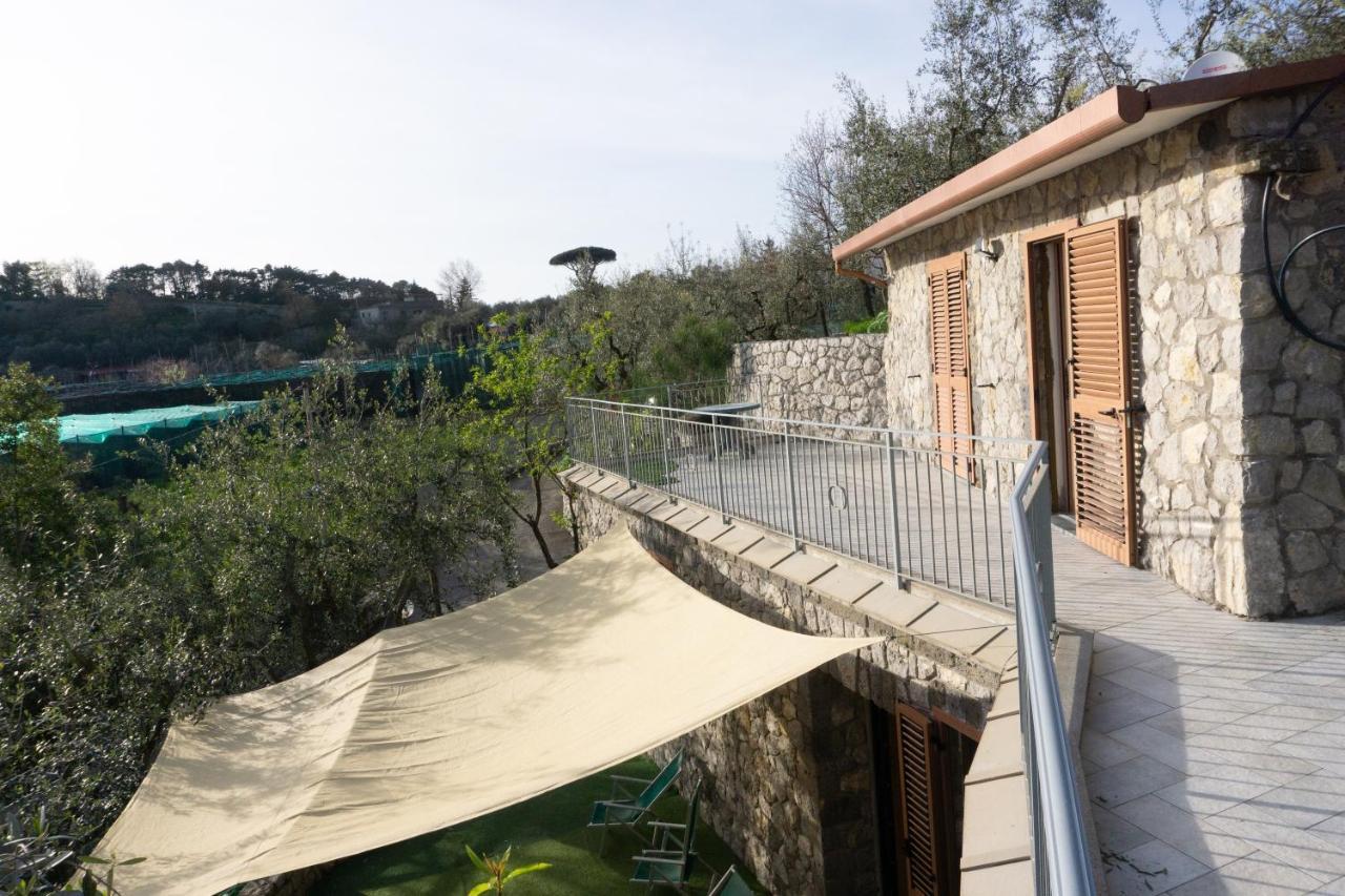 Cynara Holiday House 마사루브렌세 외부 사진